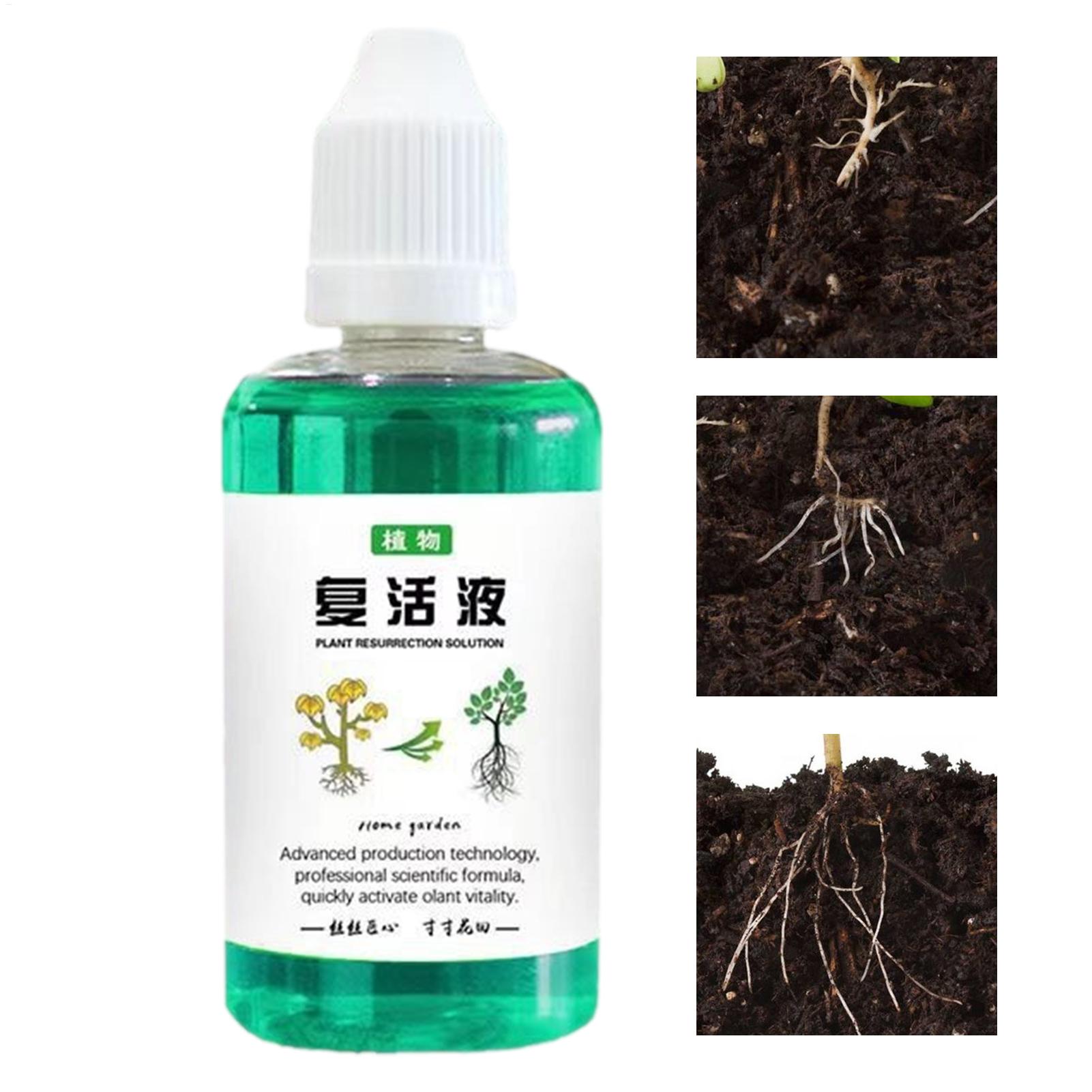 Root Stimulator Liquid - 50ml Stimulator Akar Cairan Penyubur Tanaman