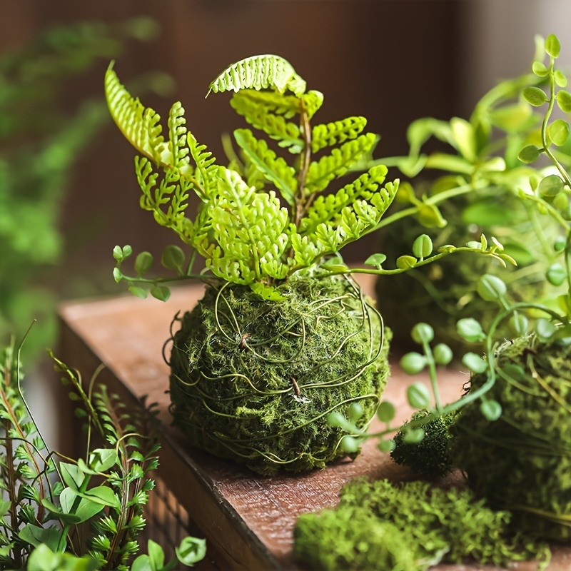 Sphagnum Moss Dry - Pot Tanaman Lumut Buatan, Wadah Tanaman