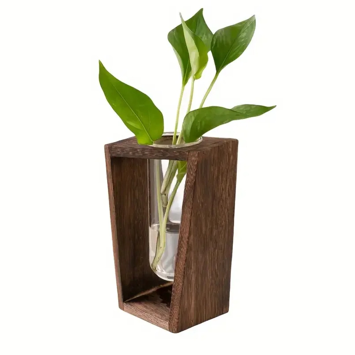 Propagation Station Vase - Stasiun Perbanyakan Tanaman Vas Hidroponik Pot