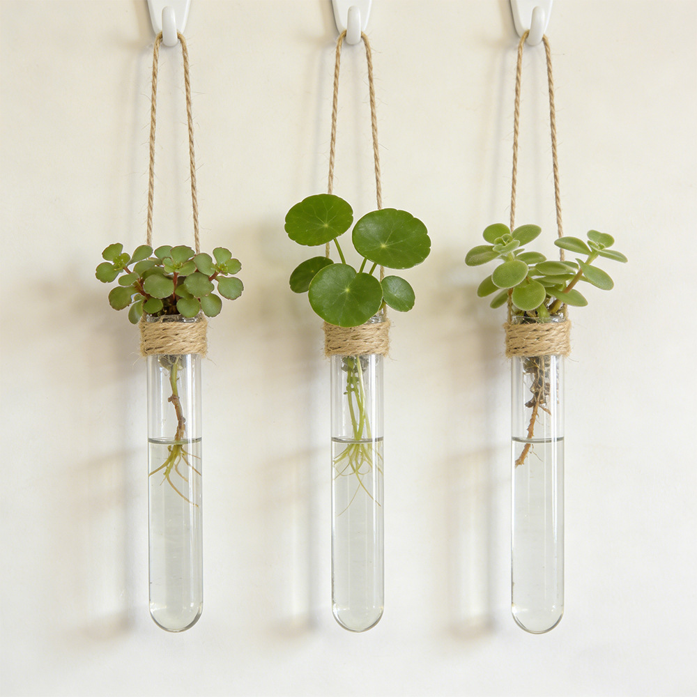 Propagation Station Vase - Vas Bunga Hidroponik Vas Tabung Reaksi