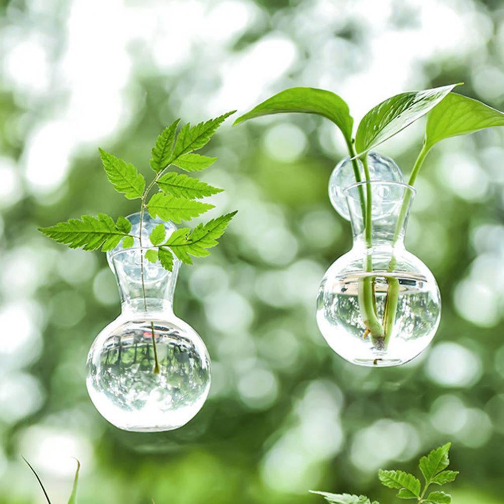 Propagation Station Vase - Vas Tanaman Jendela, Penyangga Tanaman Jendela