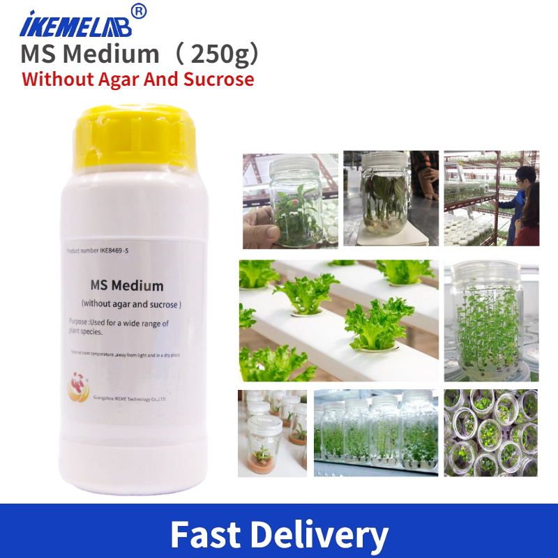Agar Tissue Culture - Keme Lab MS Medium 250g, media