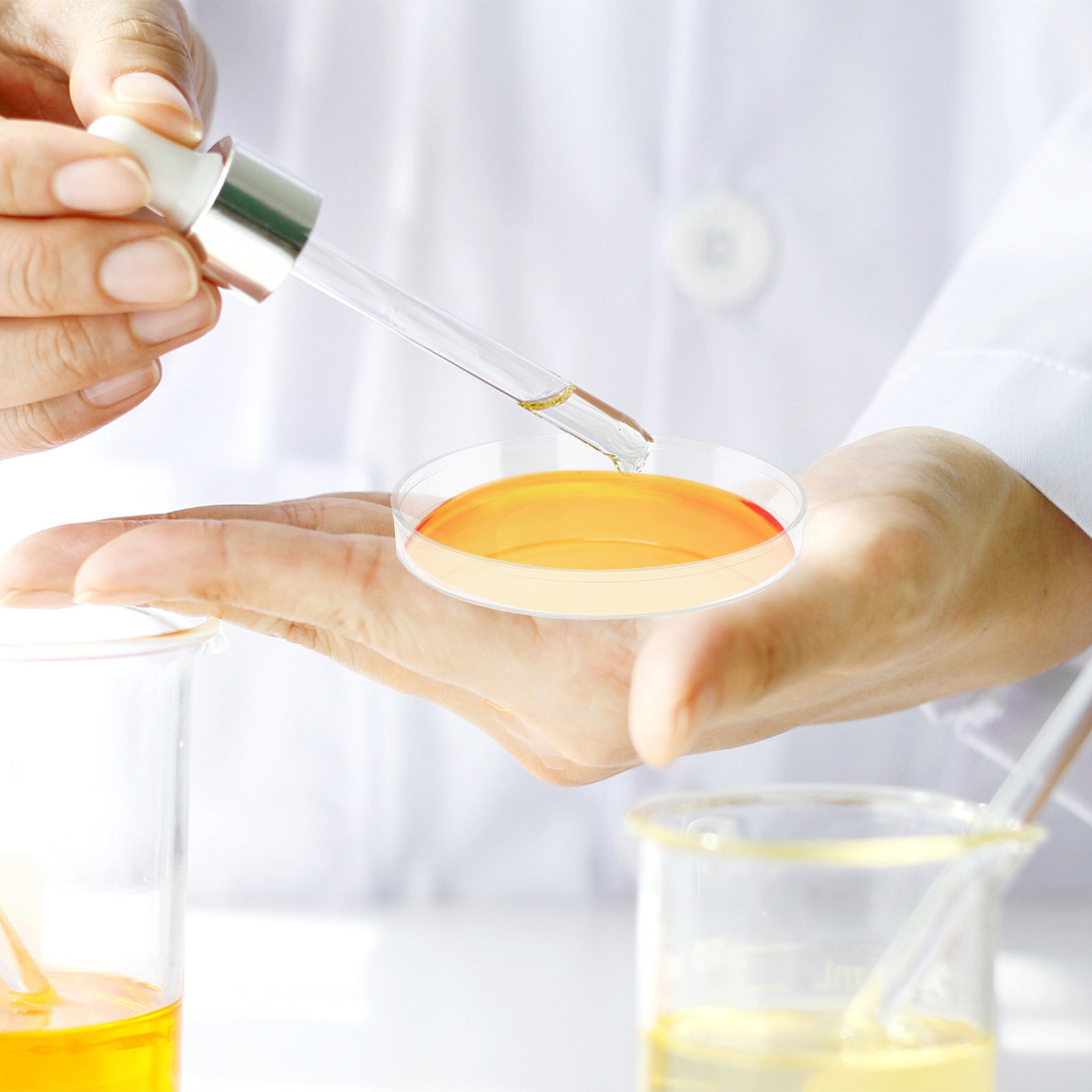 Agar Tissue Culture - 30 Buah Cawan Petri Plastik Transparan