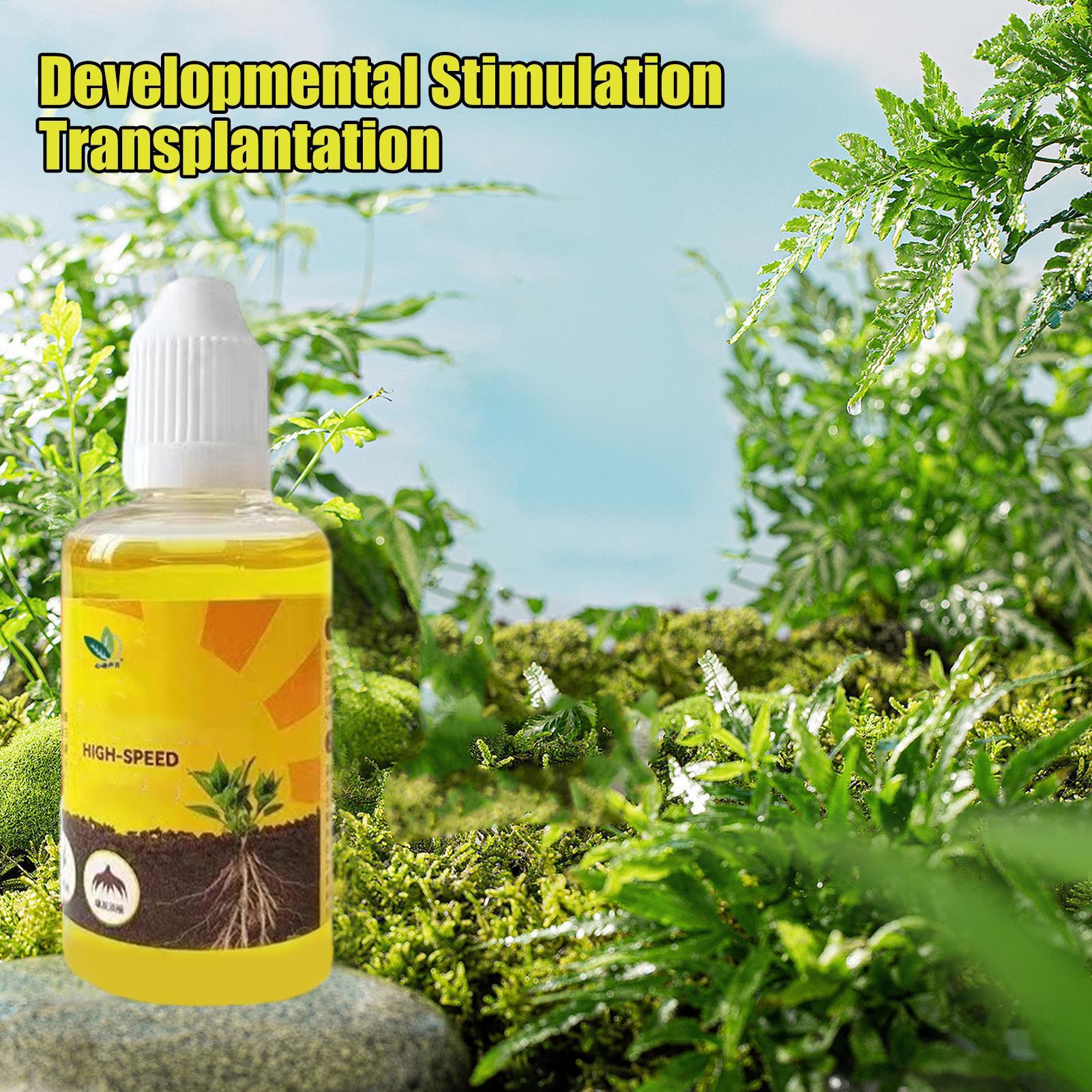 Root Stimulator Liquid - Cairan Kebangkitan Tanaman 50Ml Pupuk Sayuran