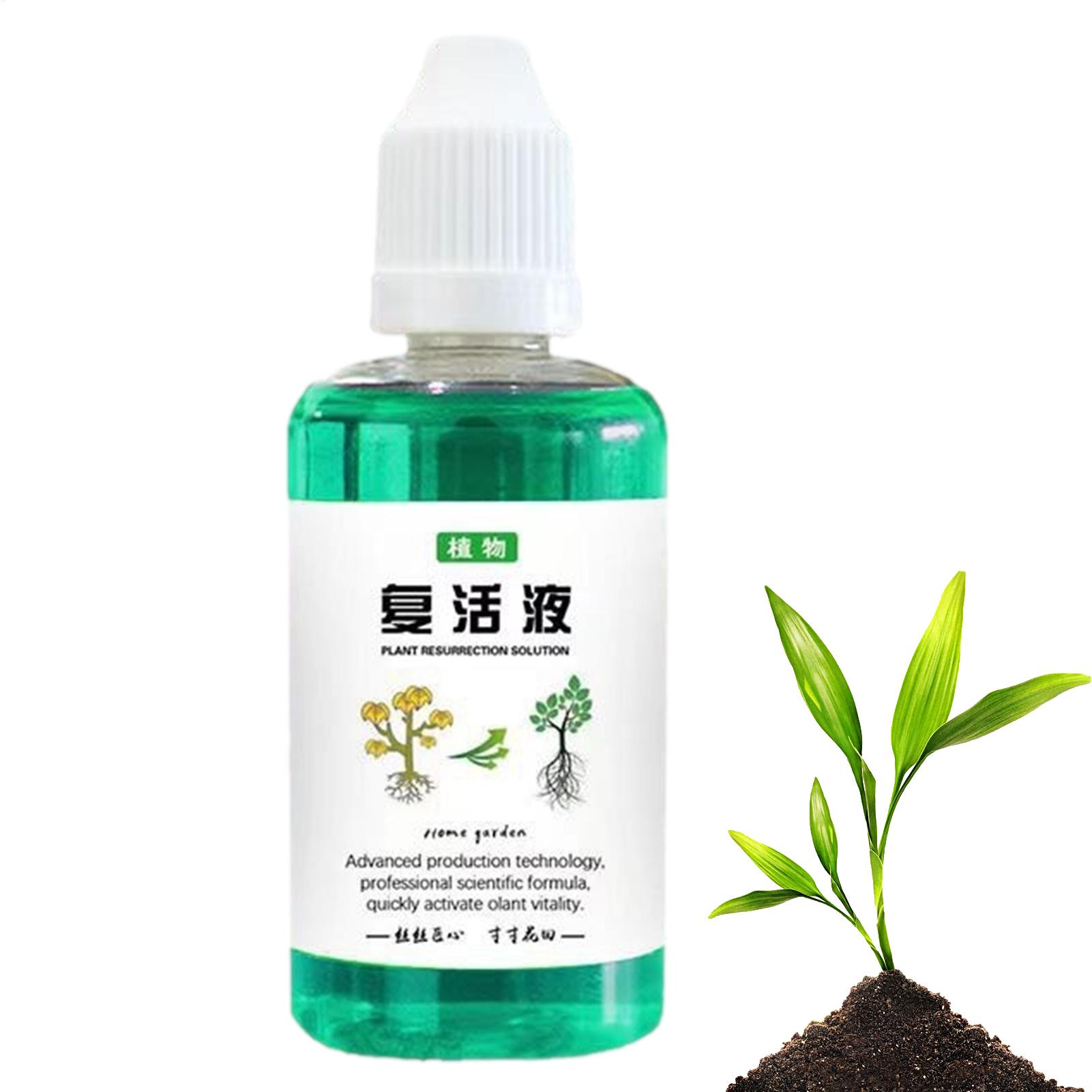 50ml Stimulator Akar Cairan Pe - Root Stimulator Liquid ulasan dan harga