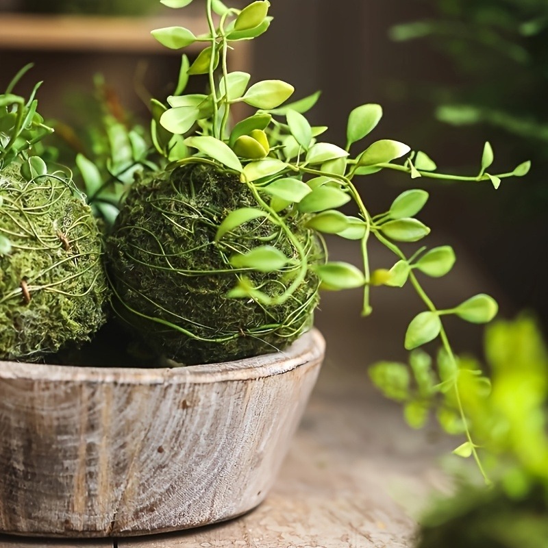 Pot Tanaman Lumut Buatan, Wada - Sphagnum Moss Dry ulasan dan harga