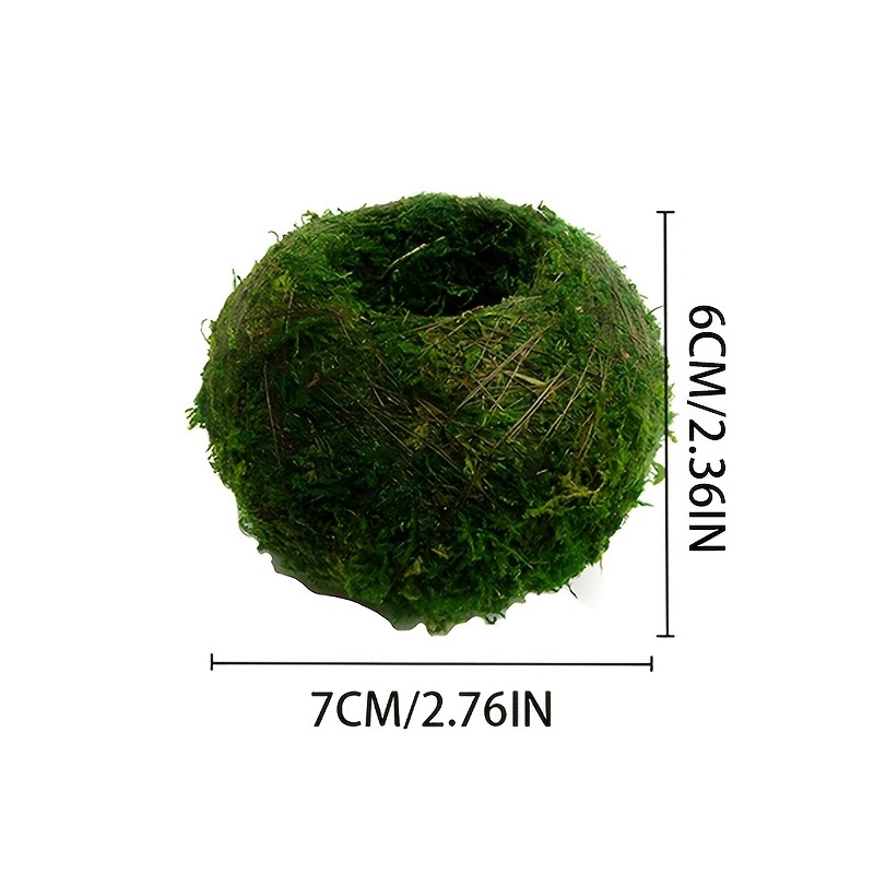 Pot Tanaman Lumut Buatan, Wada - Sphagnum Moss Dry ulasan dan harga