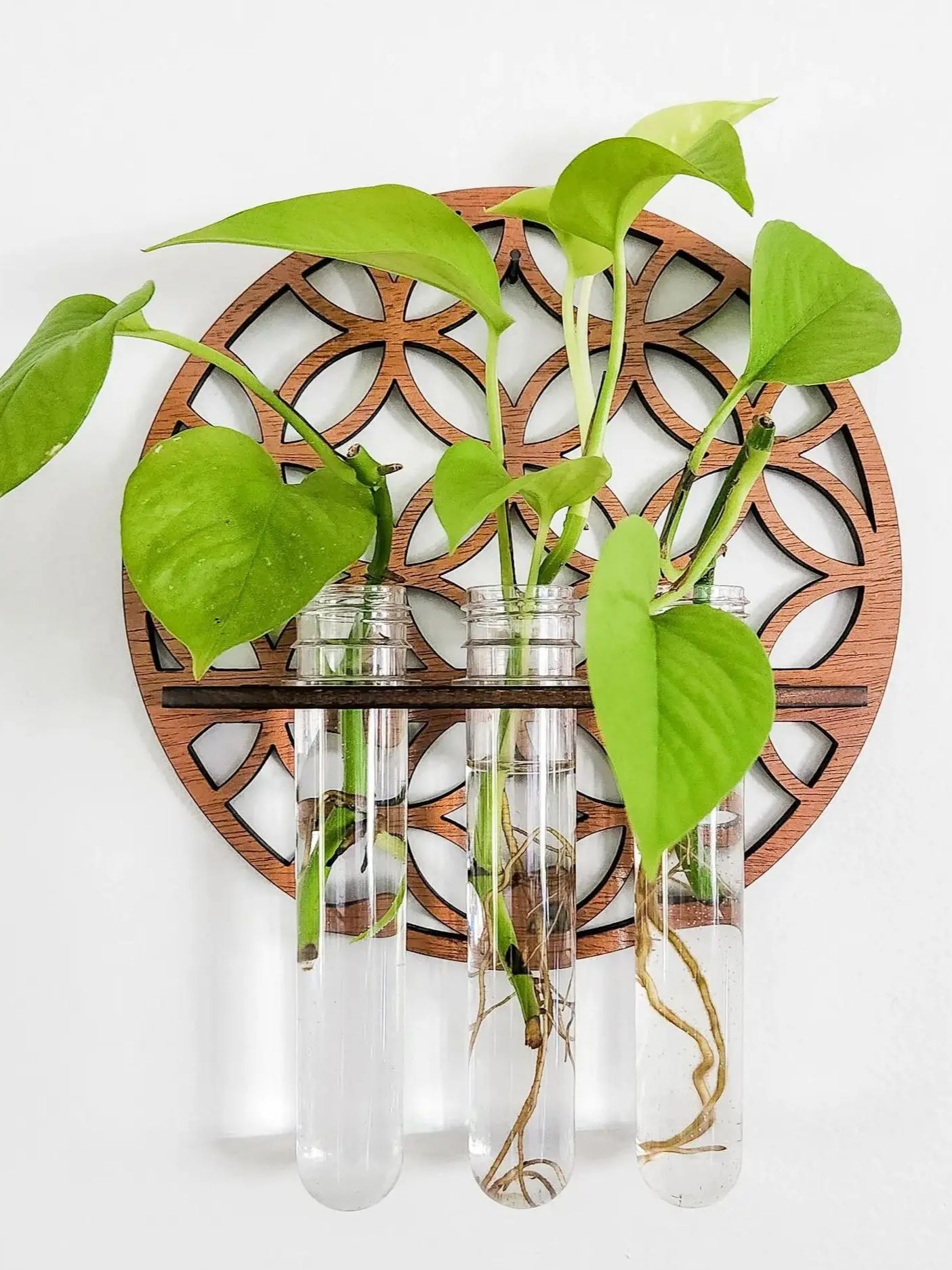 Rak pot dinding taman, gantung - Propagation Station Vase ulasan dan harga