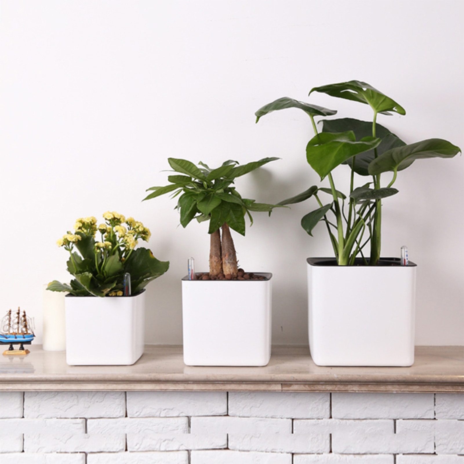 Pot Bunga Malas 3 Ukuran Tanam - Self Watering Insert ulasan dan harga