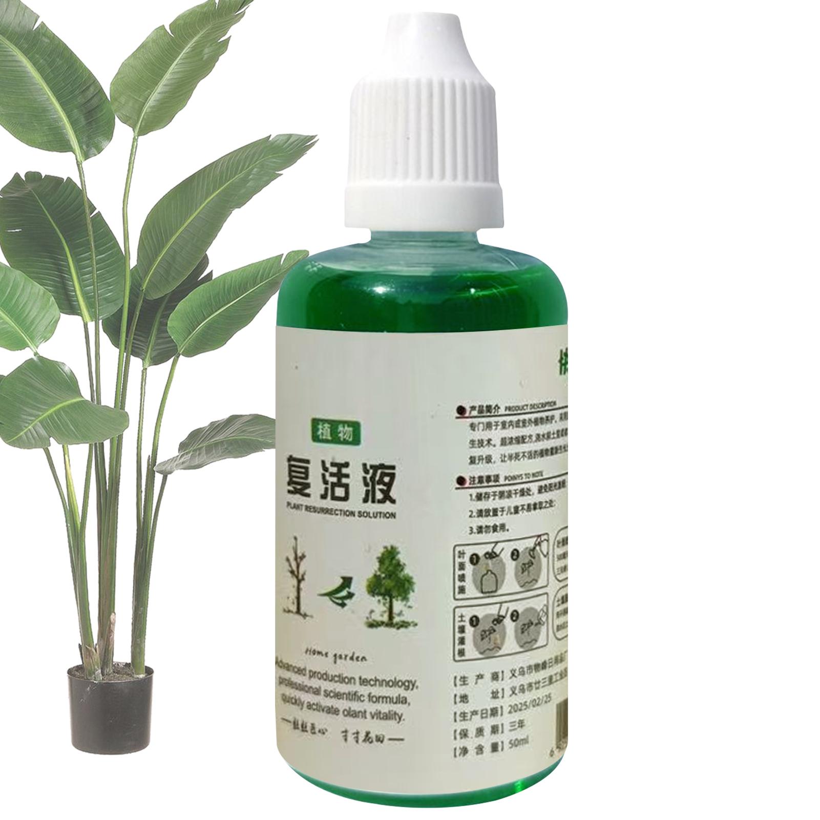 Penguat Akar Tanaman Cairan Pe - Root Stimulator Liquid ulasan dan harga