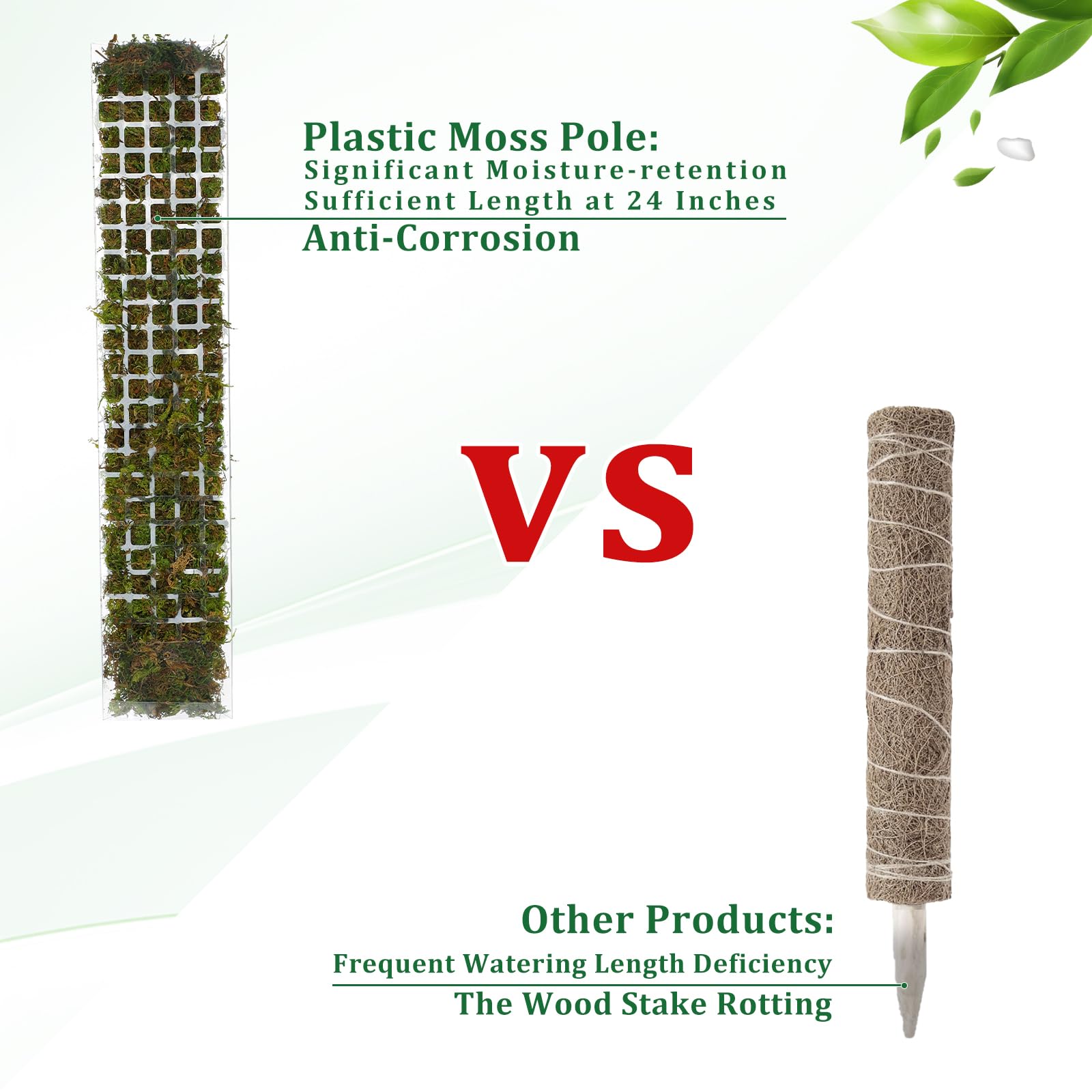 Lumut tiang tanaman plastik be - Sphagnum Moss Dry ulasan dan harga