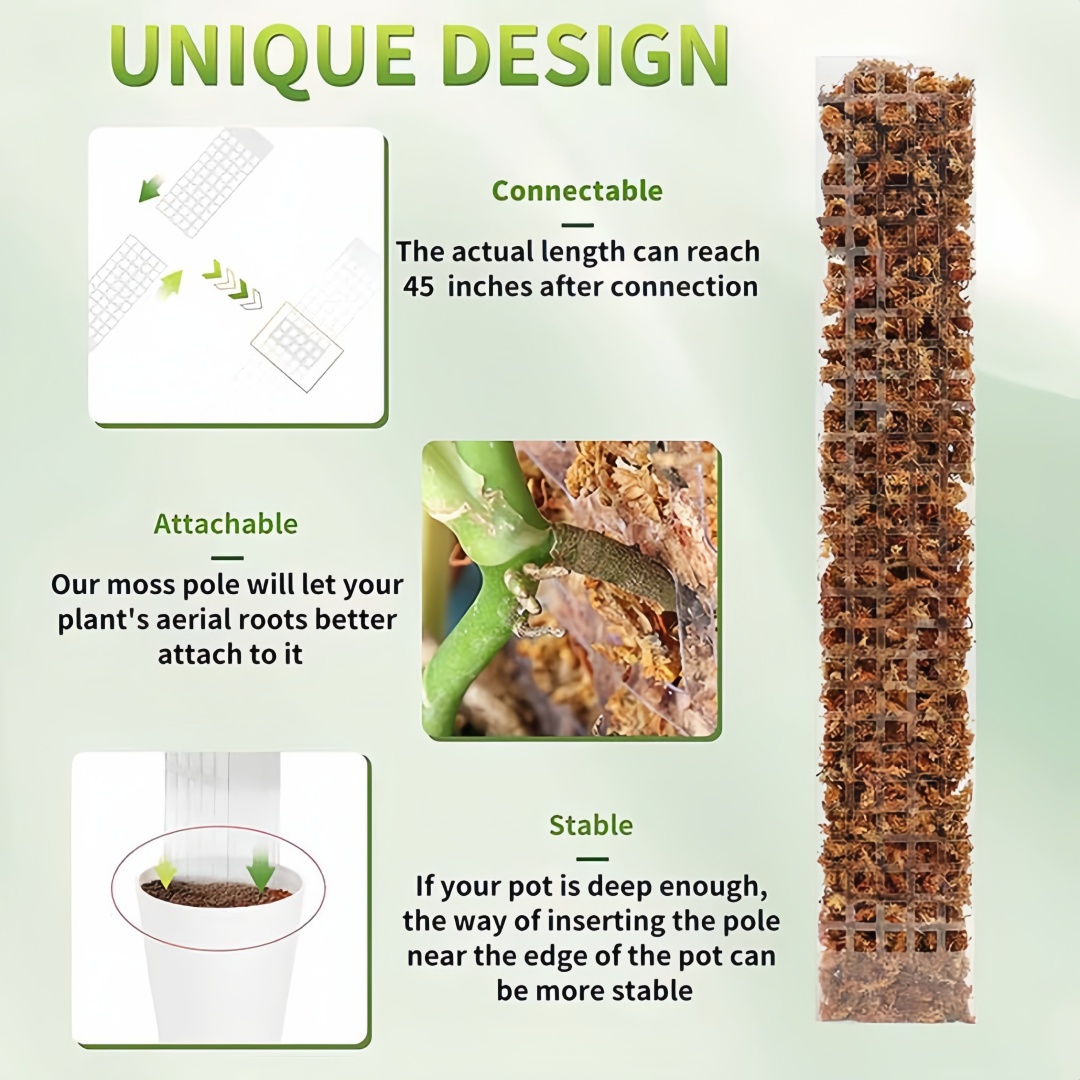 Lumut tiang tanaman plastik be - Sphagnum Moss Dry ulasan dan harga