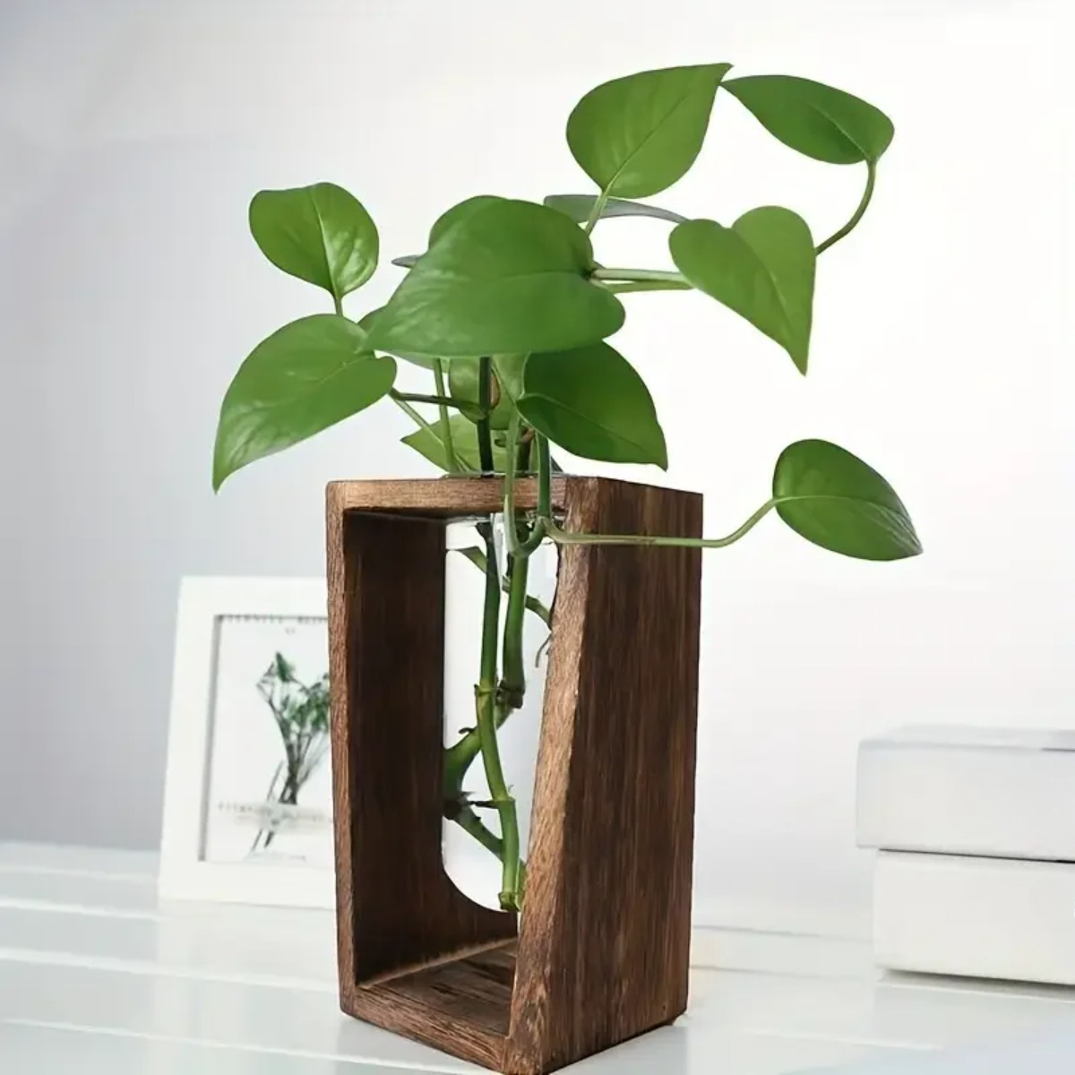Stasiun Perbanyakan Tanaman Va - Propagation Station Vase ulasan dan harga