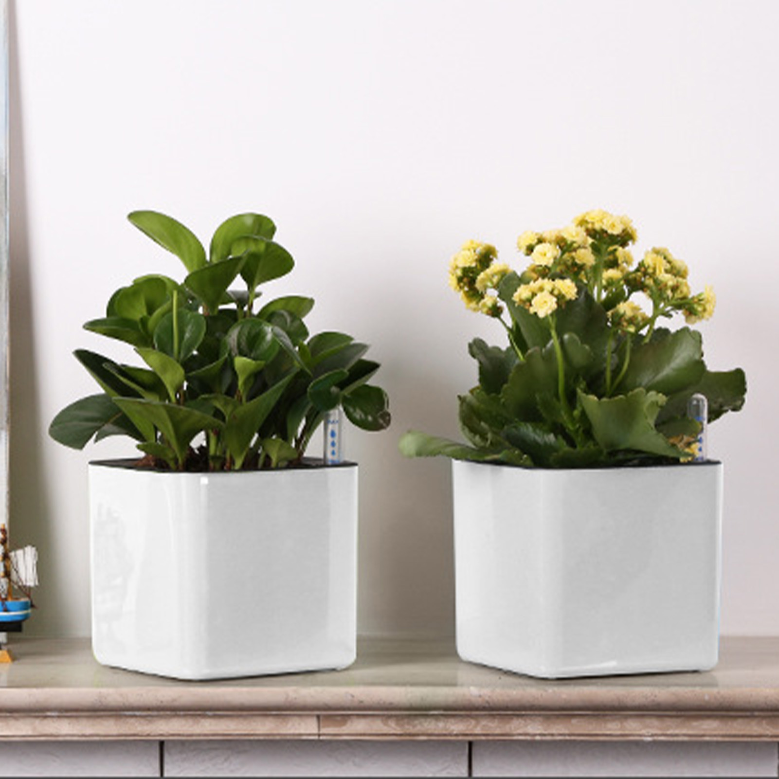 Pot Tanaman Self-Watering deng - Self Watering Insert ulasan dan harga