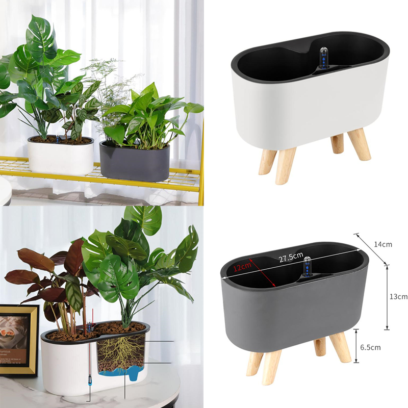 Tanaman Dalam Ruangan dengan I - Self Watering Insert ulasan dan harga