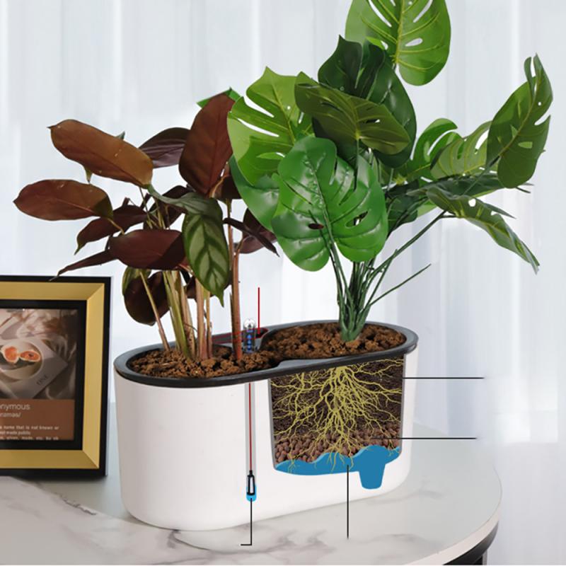 Tanaman Dalam Ruangan dengan I - Self Watering Insert ulasan dan harga