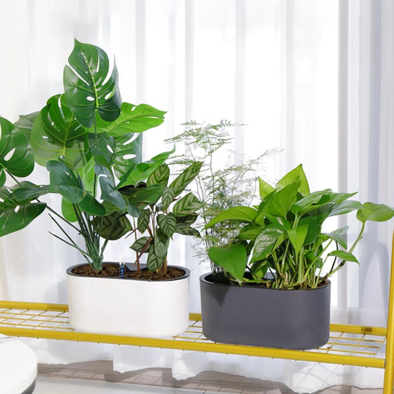 Tanaman Dalam Ruangan dengan I - Self Watering Insert ulasan dan harga