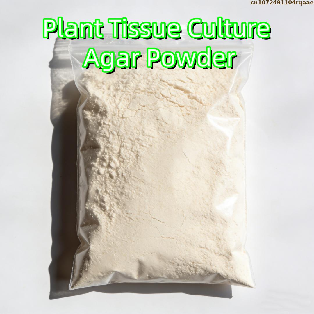 Bubuk Agar Kultur Jaringan Tan - Agar Tissue Culture ulasan dan harga