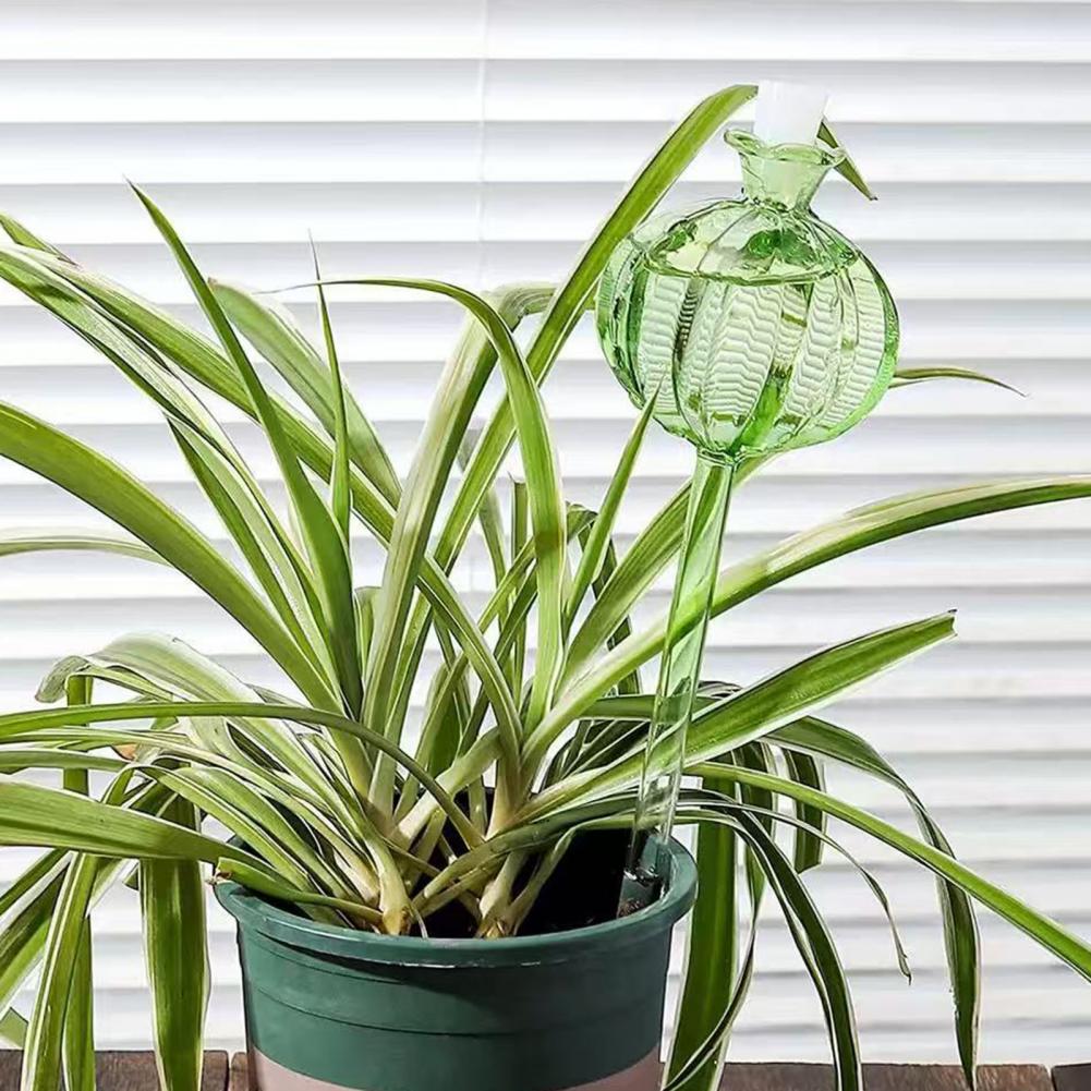 Penyiram Tanaman Otomatis Bent - Self Watering Insert ulasan dan harga