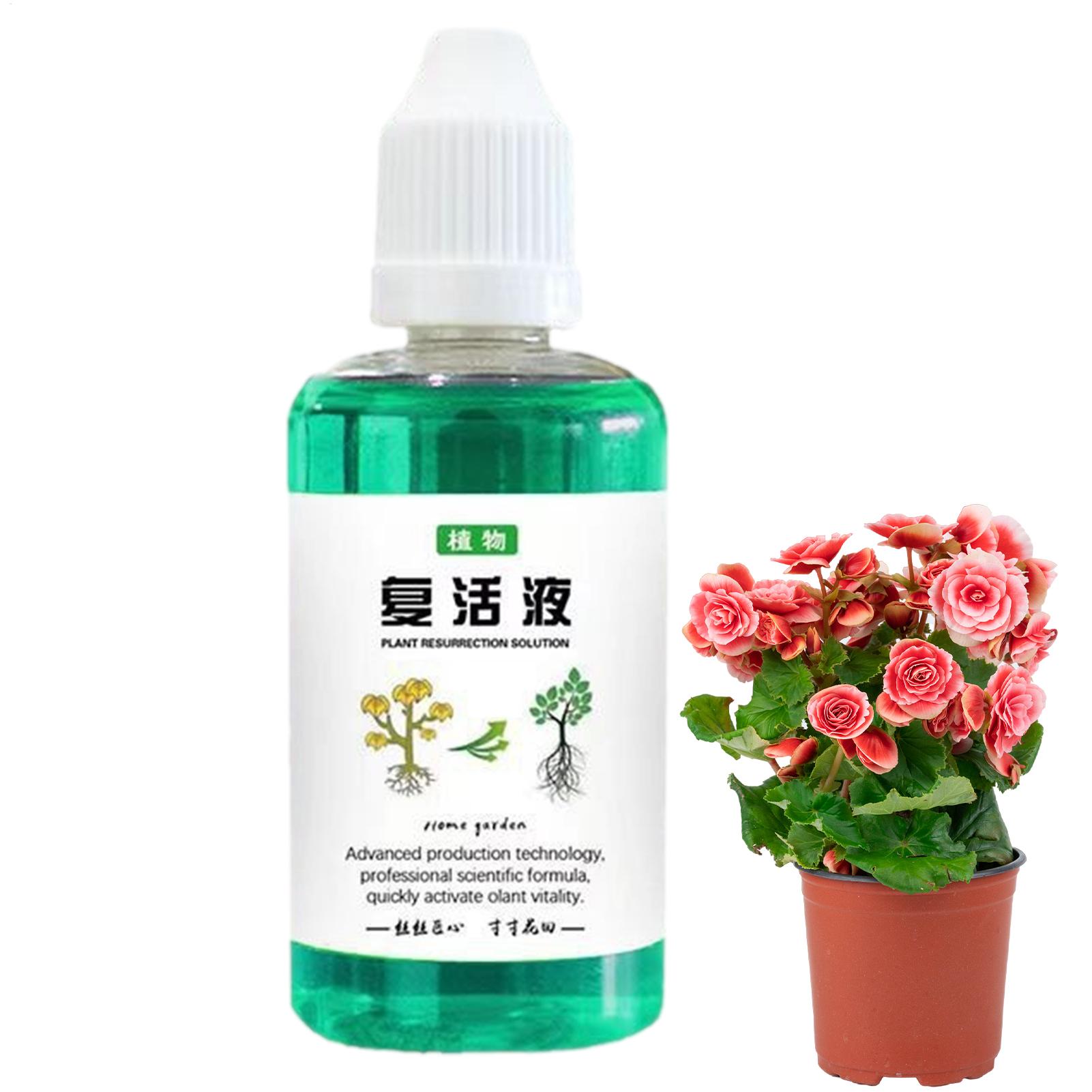 Stimulator Akar untuk Tanaman  - Root Stimulator Liquid ulasan dan harga