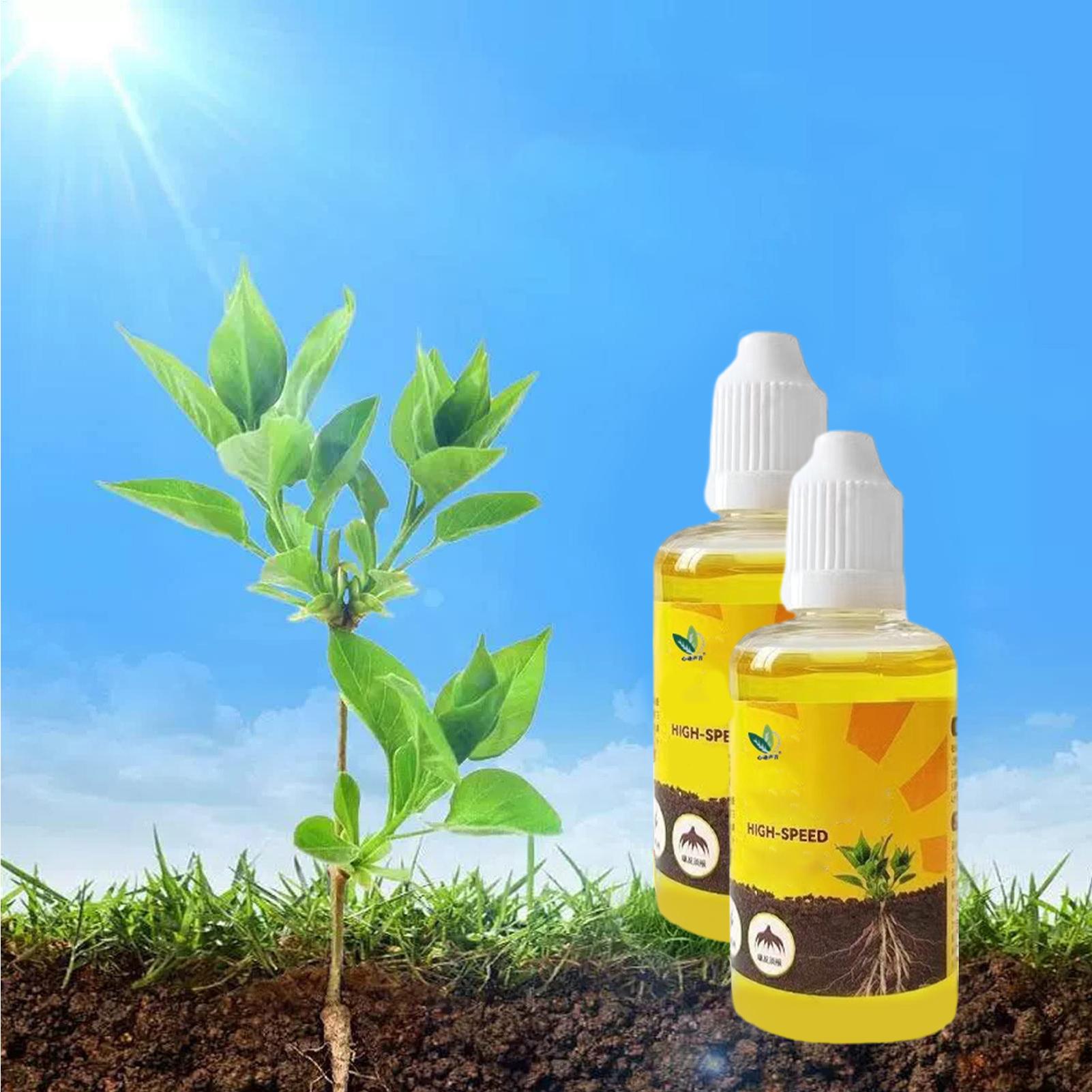 50Ml Stimulator Pengakaran Tan - Rooting Hormone Powder ulasan dan harga
