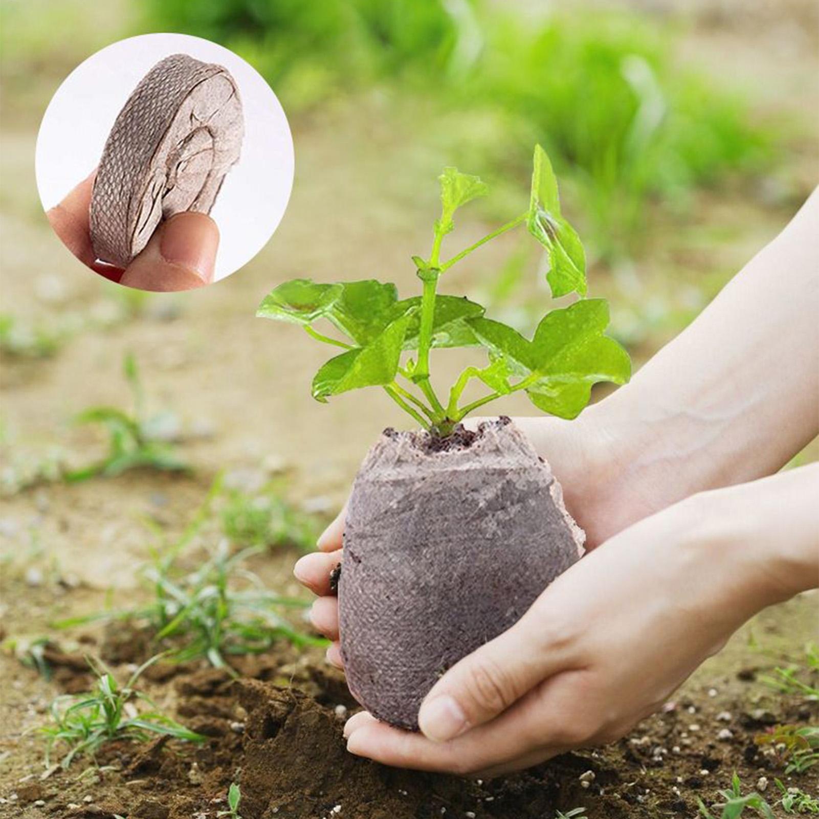 100 Baki Campuran Tanah untuk  - Peat Pellet Tray ulasan dan harga