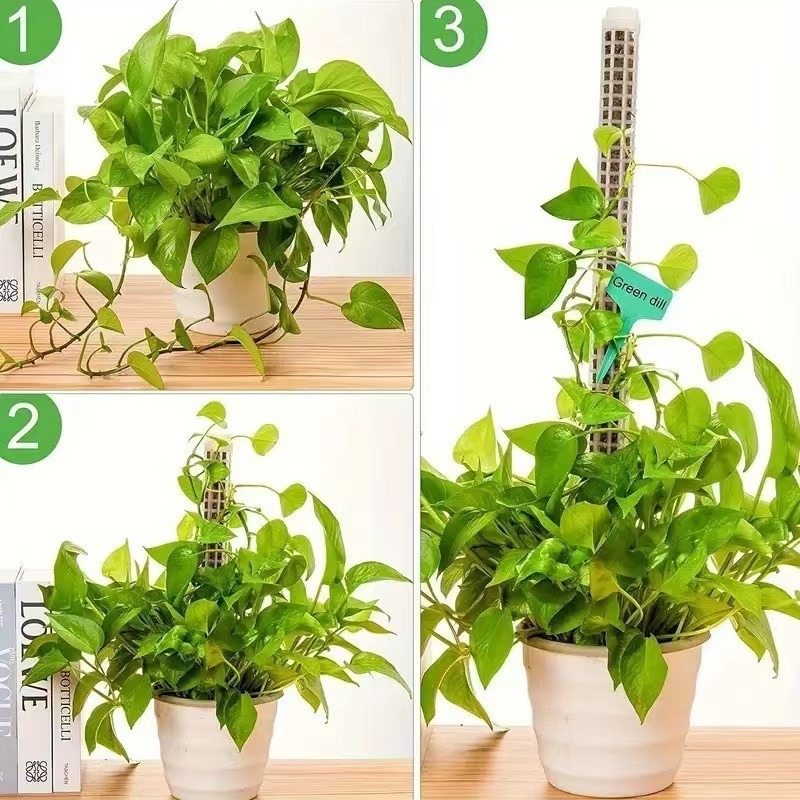 1/2/3pcs Tiang Lumut Penyiram  - Sphagnum Moss Dry ulasan dan harga