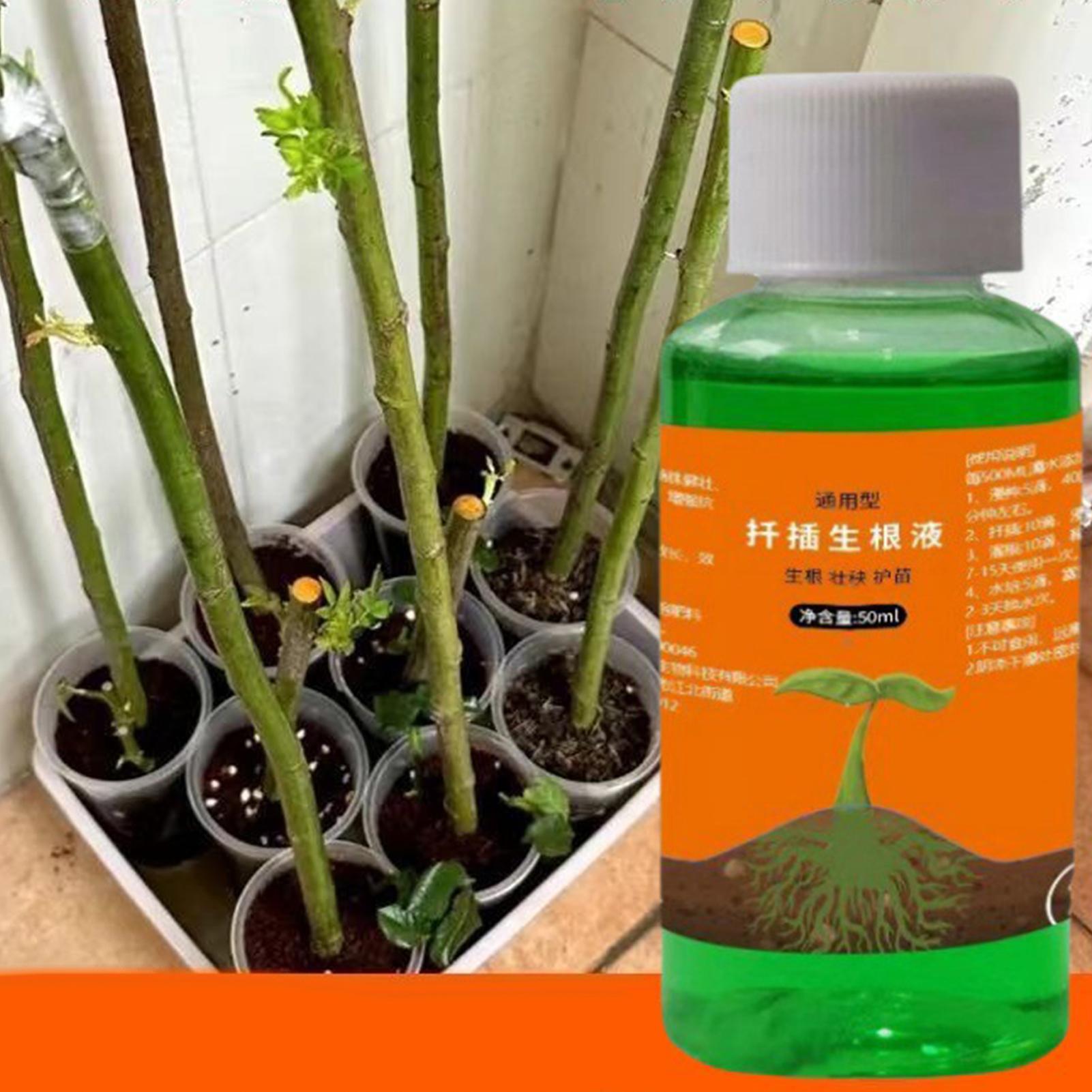 Stimulator Akar Efisiensi Ting - Root Stimulator Liquid ulasan dan harga