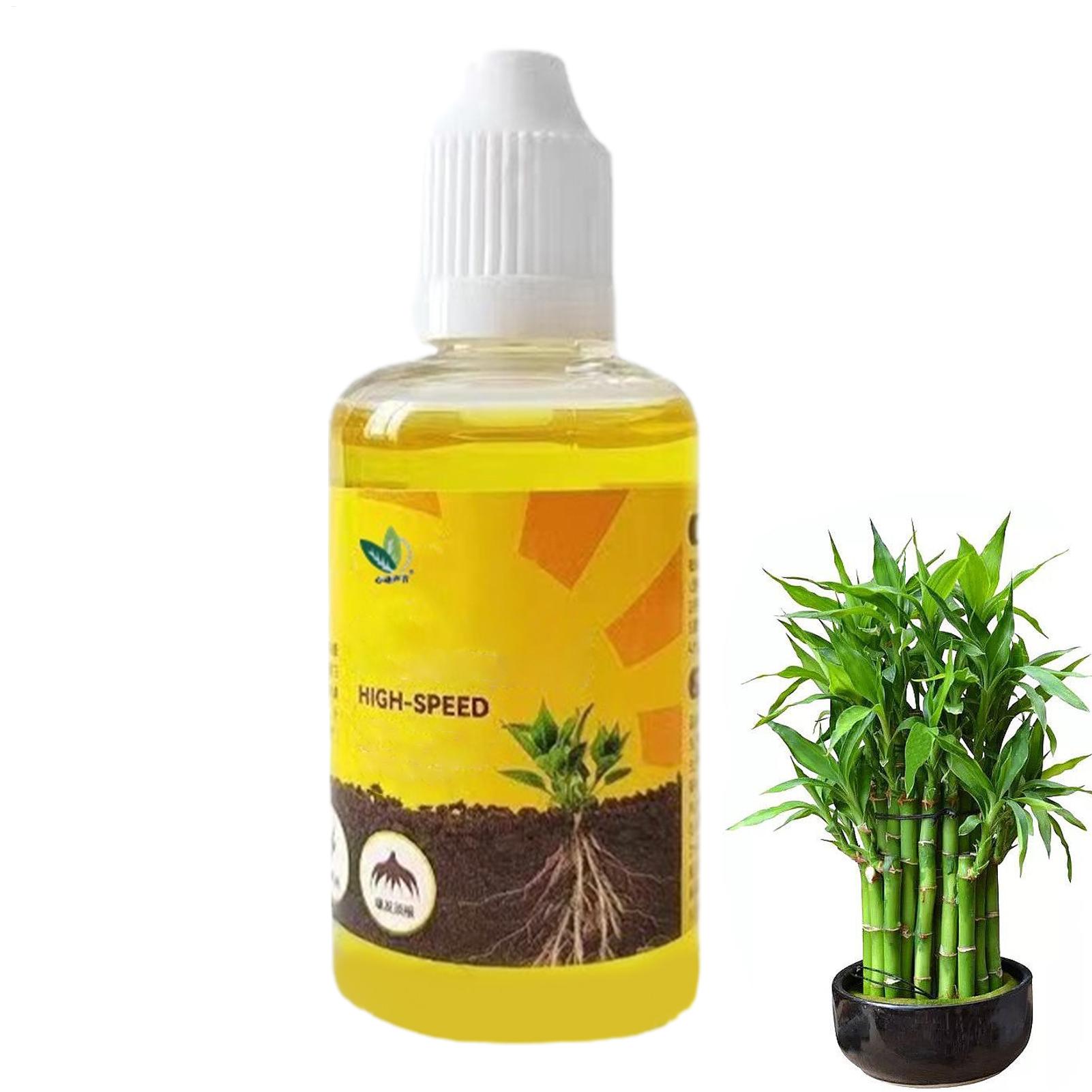 Cairan Kebangkitan Tanaman 50M - Root Stimulator Liquid ulasan dan harga