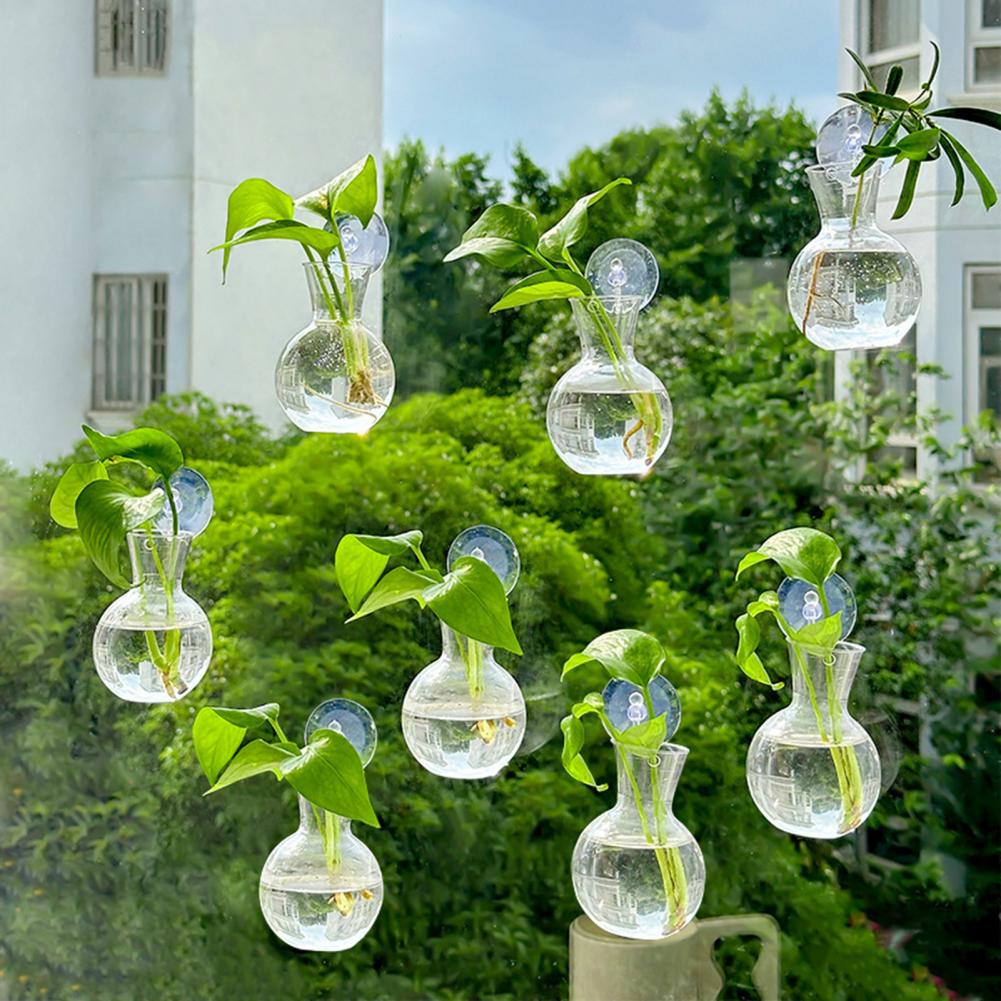 1/2/3/4/6/8 Buah Bohlam Perban - Propagation Station Vase ulasan dan harga