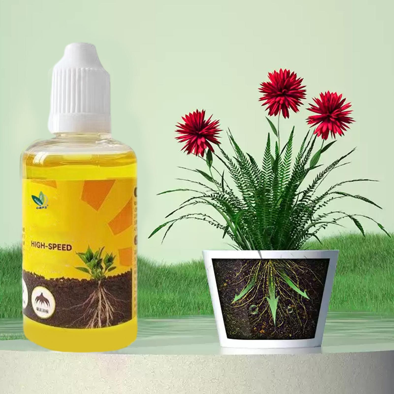 Solusi Perakaran Cepat Tanaman - Root Stimulator Liquid ulasan dan harga