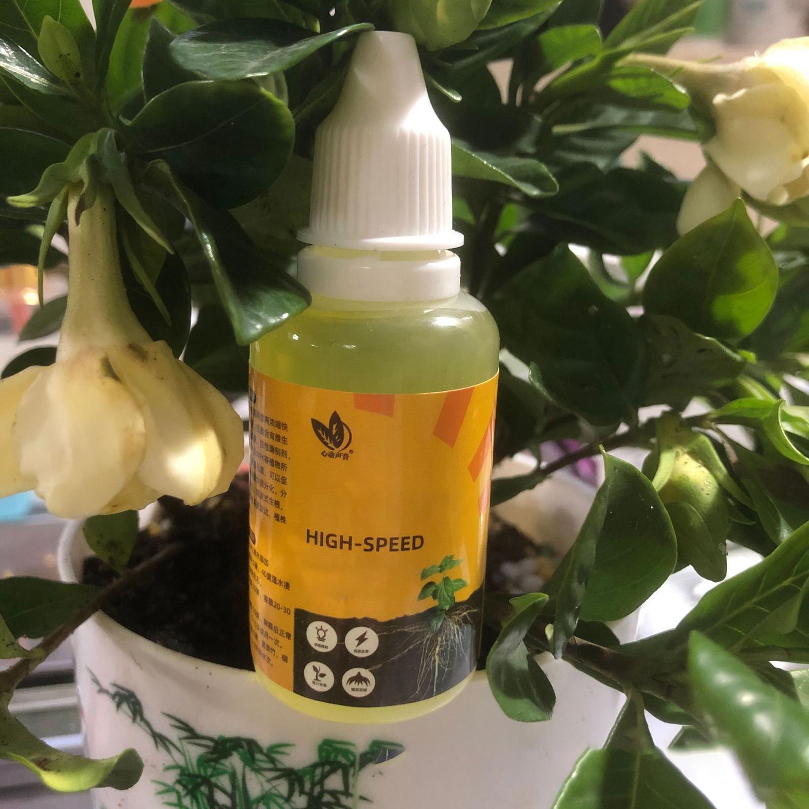 Solusi Perakaran Cepat Tanaman - Root Stimulator Liquid ulasan dan harga