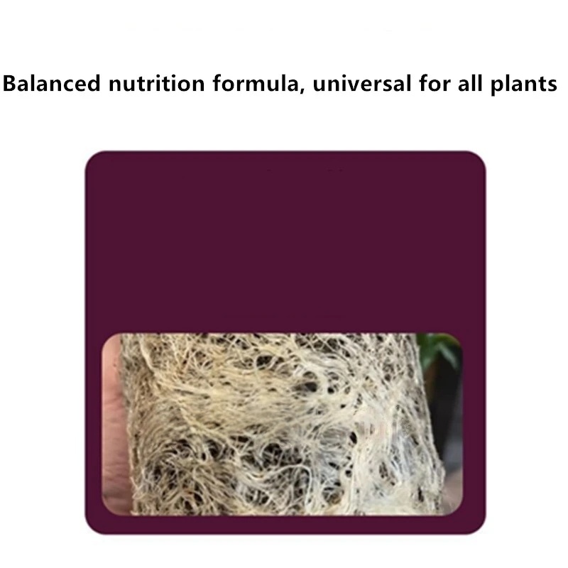 2 Kantong Bubuk Hormon Perangs - Rooting Hormone Powder ulasan dan harga