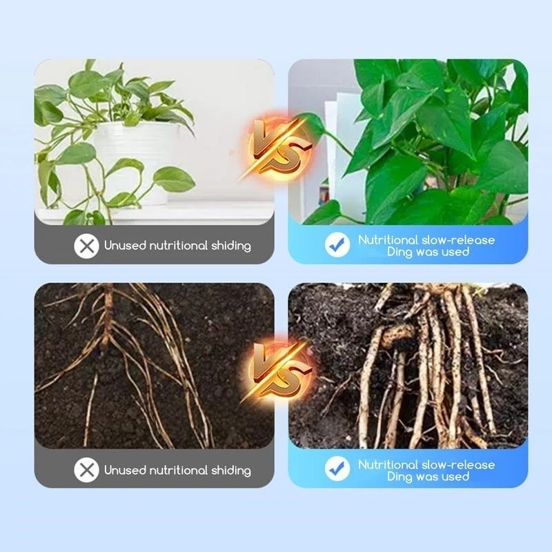 2 Kantong Bubuk Hormon Perangs - Rooting Hormone Powder ulasan dan harga