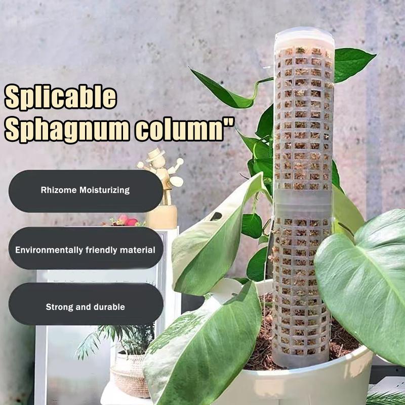 6Pcs Tiang Lumut Plastik Penya - Sphagnum Moss Dry ulasan dan harga