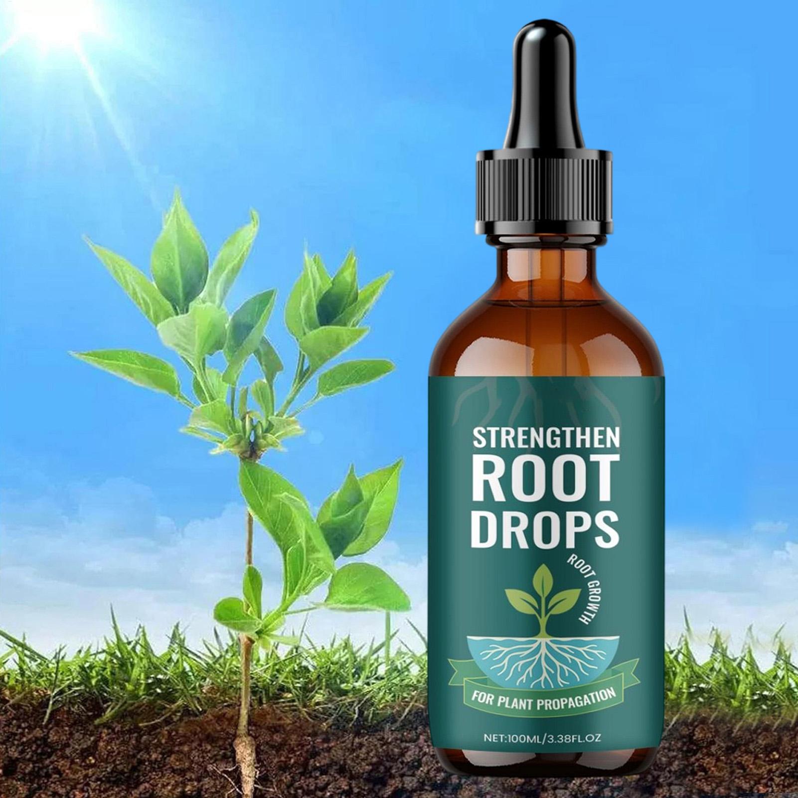100ml Cairan Perangsang Pertum - Root Stimulator Liquid ulasan dan harga