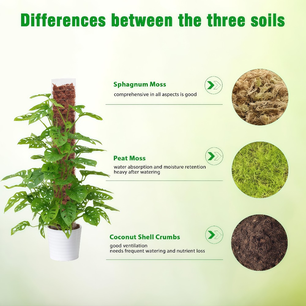 Penyangga Tanaman Plastik Moss - Sphagnum Moss Dry ulasan dan harga